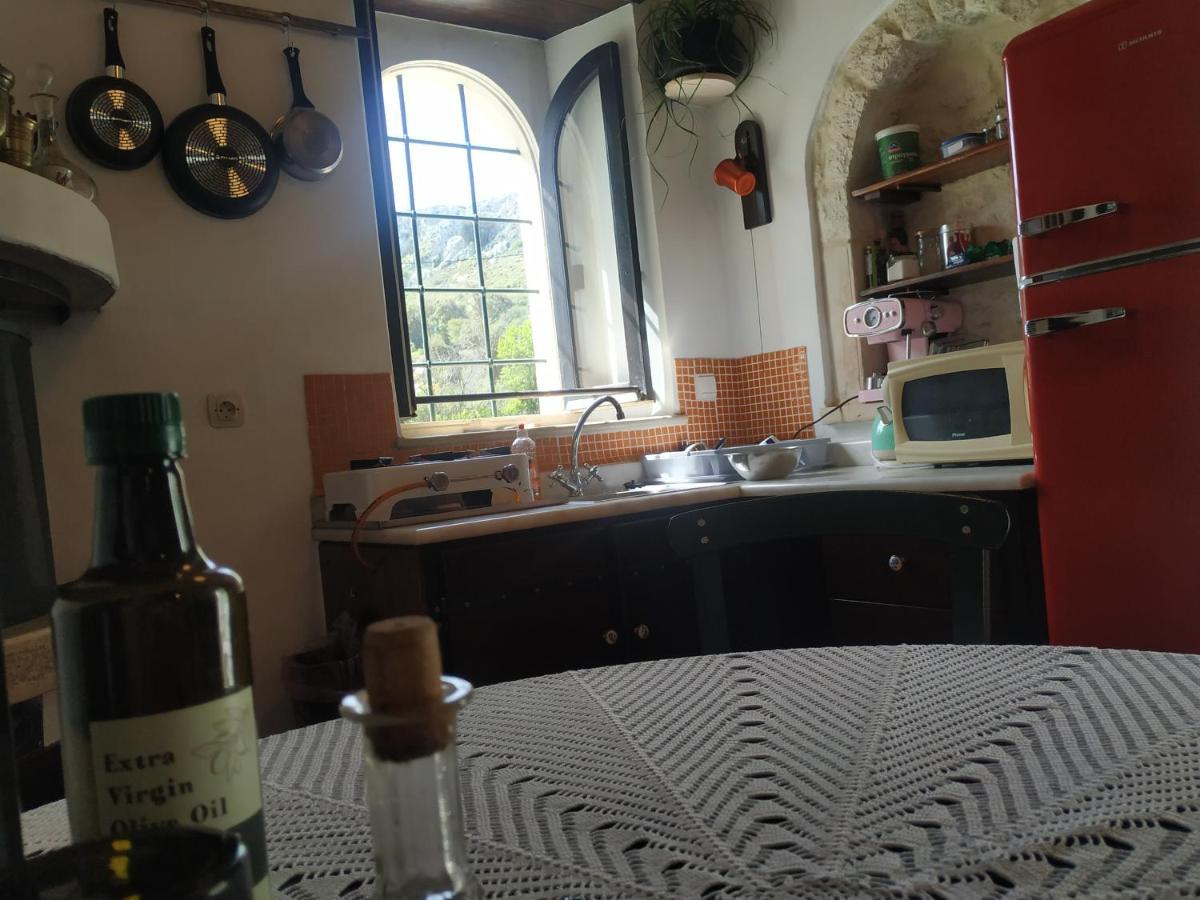 Xenios Z Rustic Rural Cottage Karidi Екстериор снимка